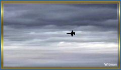 BlueAngel31018 (144).jpg